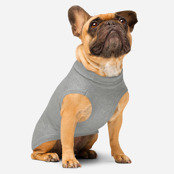 Knitted Pet Sweater